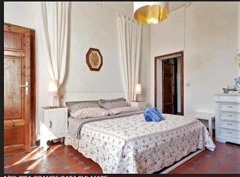 Silvia'S House Apartment Marina Di Pisa Exterior photo